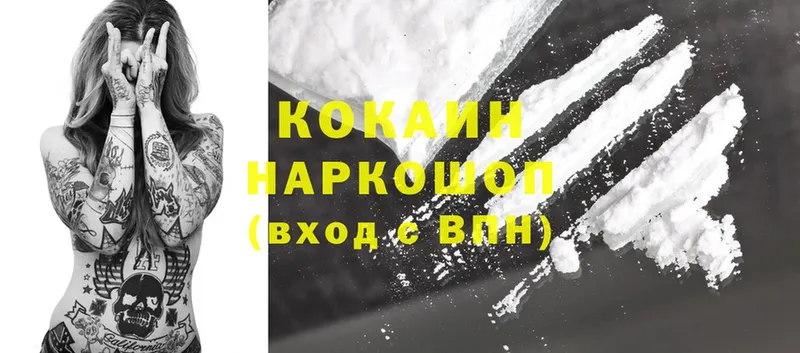 где купить наркотик  Ельня  Cocaine FishScale 