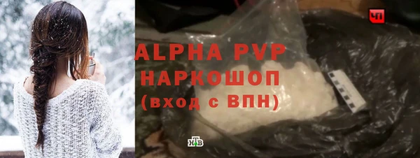 индика Бикин