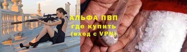 прущие крисы Надым