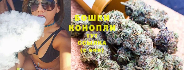 прущие крисы Надым